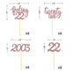24Pcs Feeling 22 Cupcake Toppers, Twenty Two Birthday Cake Decorations, Cheer To 22 Years Old Theme Party Decoration Supplies (R