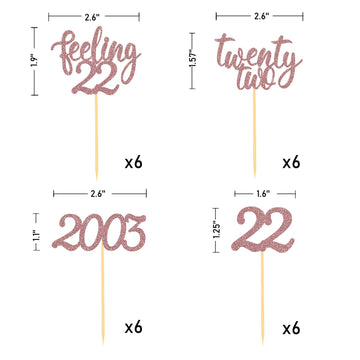 24Pcs Feeling 22 Cupcake Toppers, Twenty Two Birthday Cake Decorations, Cheer To 22 Years Old Theme Party Decoration Supplies (R