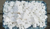 MMR Palua, Paala Gunda Crystals, Odisha 250 gms Organic 100% Arrow Root Powder, Koova Podi