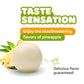 Gumballs in Jar - 1 Inch Large Gumballs - Pineapple Bubble Gum White Gumballs - Kids Chewing Gum - Gumballs for Kids 9 OZ