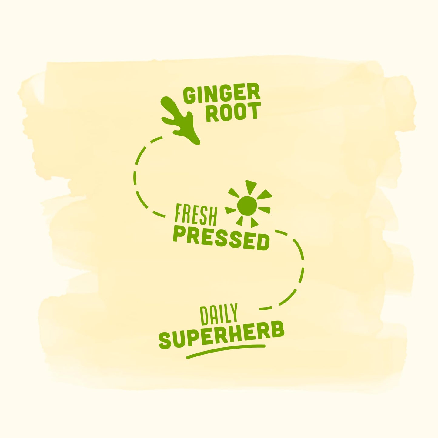 Vive Organic Immune Support Ginger Shot, Cold-Pressed Ginger Root & Organic Juice, Gluten Free, Vegan, Immunity Booster 2 Fl Oz