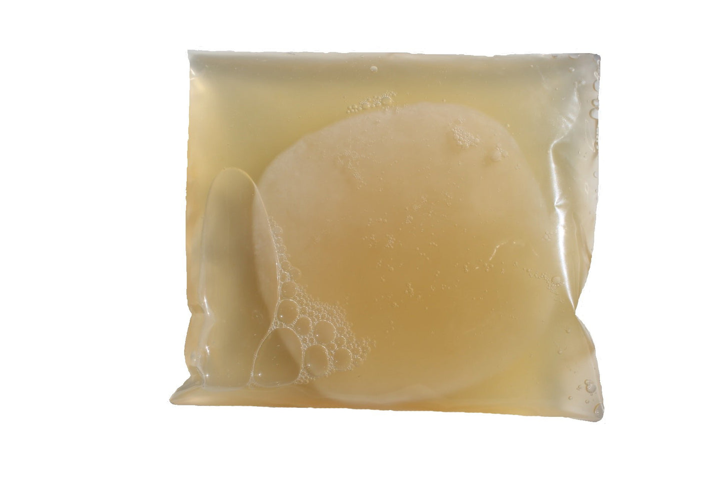 Scoby Kombucha Fba_Lepazc5747 1 X Organic Kombucha Scoby-Live Culture