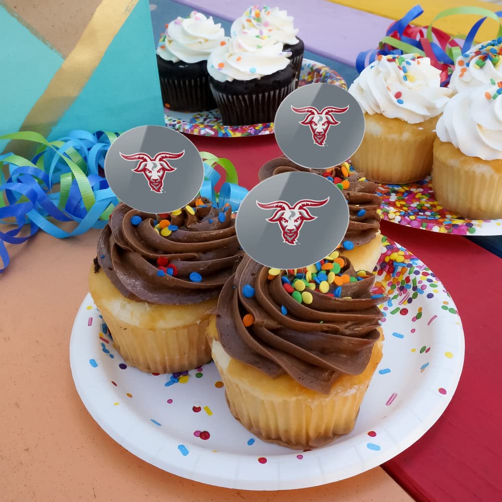 Wpi Secondary Logo Cupcake Picks Toppers Decoration Set Of 6