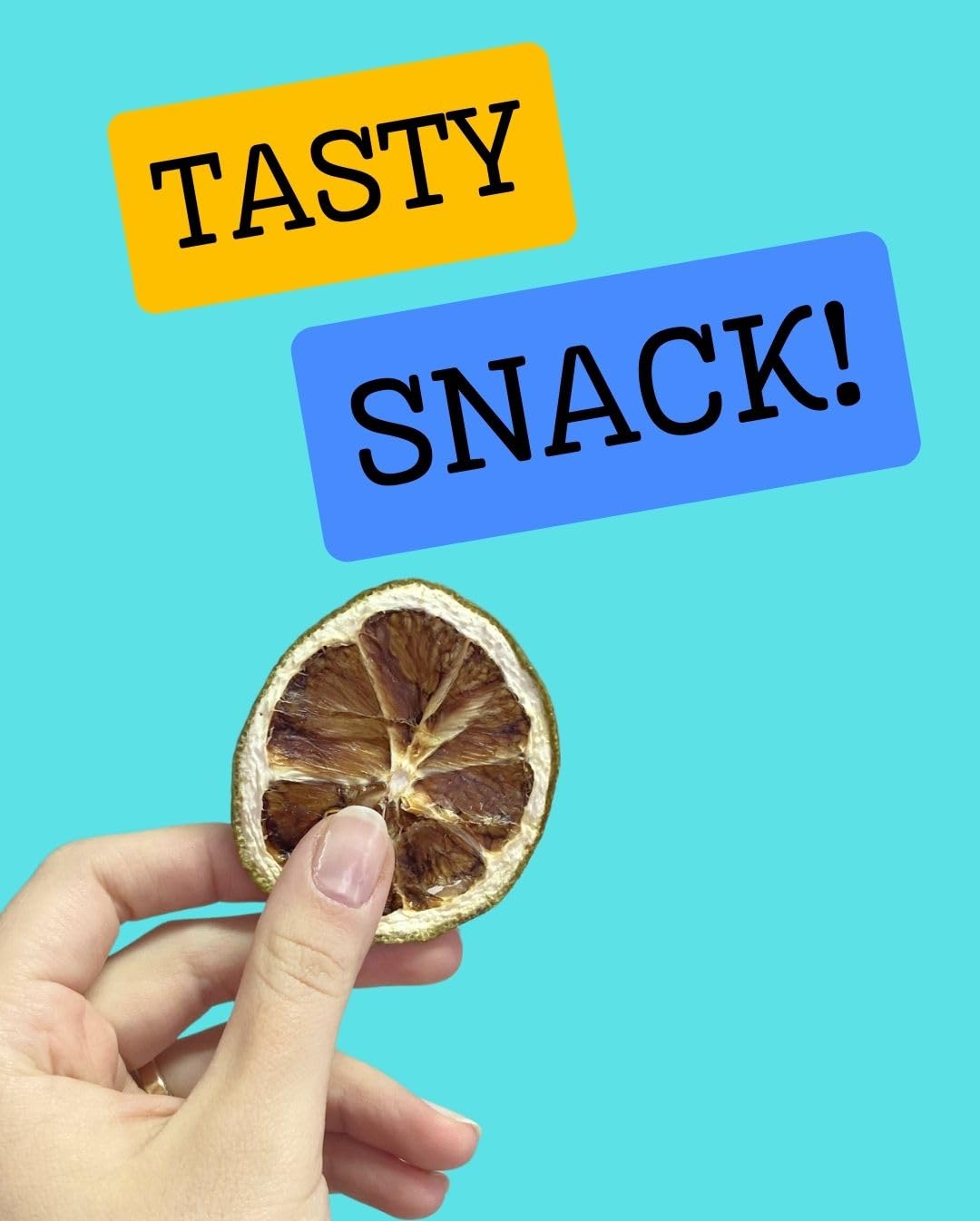 Dehydrated Lime Slices,Dried Lime Slices By Cokcerez 3.5 Oz(100 Gr)