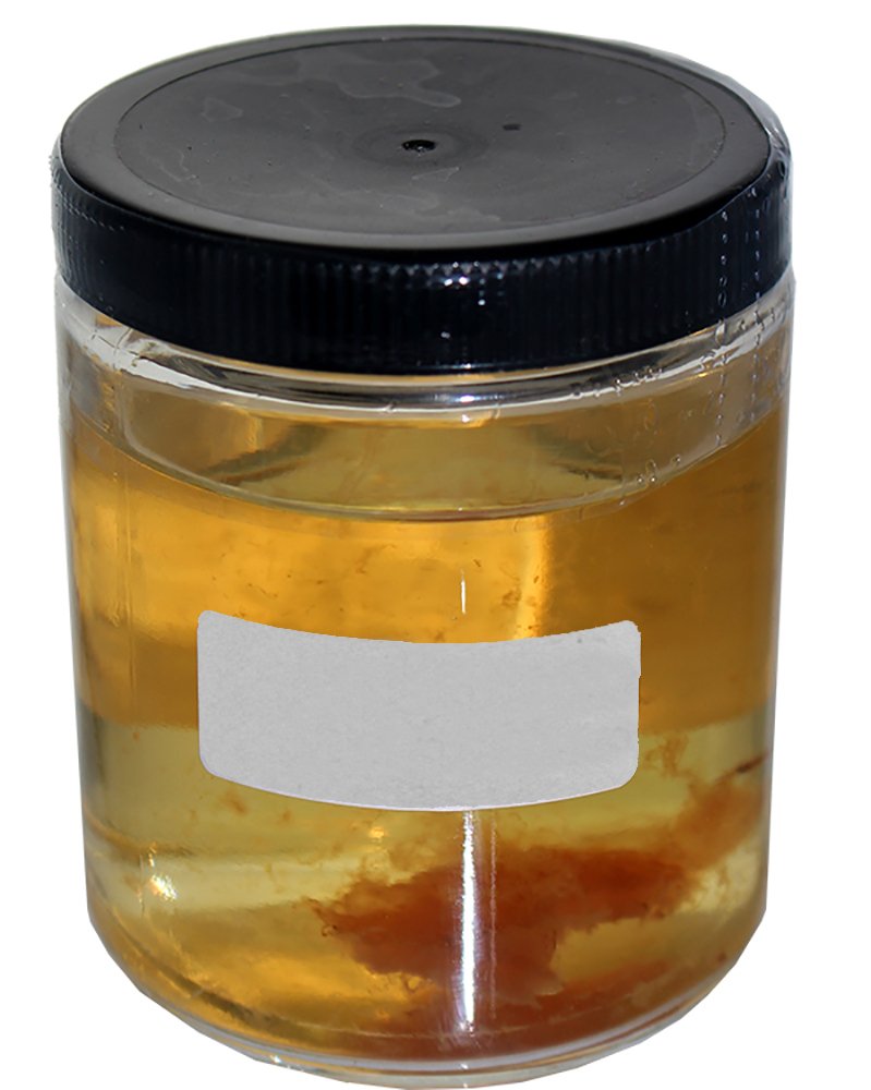 Supreme Vinegar Malt Mother of Vinegar - 1 Count (Pack of 1)