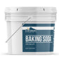 Earthborn Elements Baking Soda (1 Gallon) Sodium Bicarbonate, Cooking, Cleaning & Deodorizing