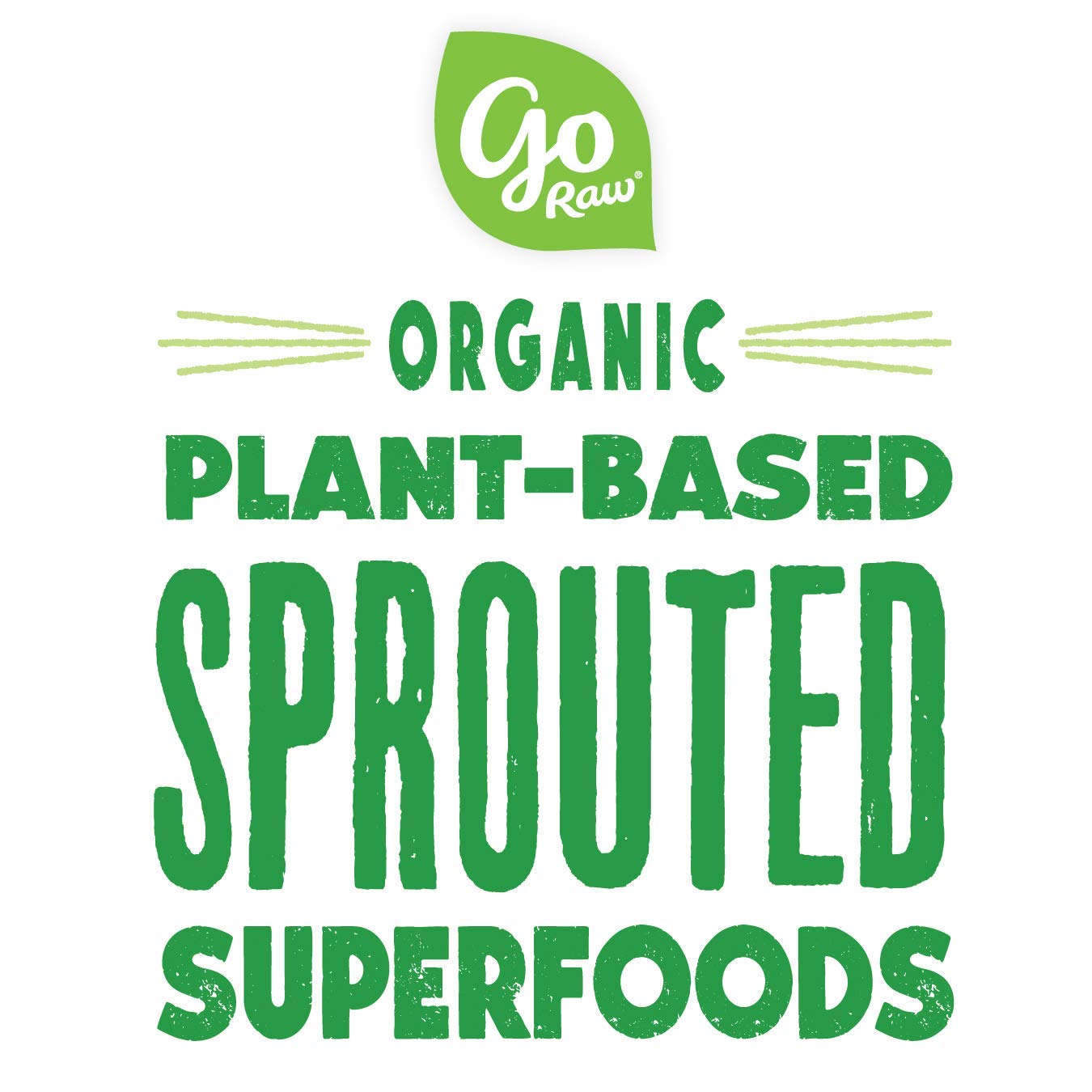 go Raw with Sea Salt Sprouted Organic Bag Keto Vegan Gluten Free Snacks Superfood, Sunflower Seeds, 22 Oz (22)