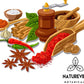 Naturevibe Botanicals Paprika Powder, 5lb | Non-GMO and Gluten Free | Rich in Antioxidant | Indian Spice [Packaging may vary]