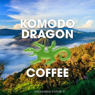 Volcanica Coffee Komodo Dragon, 100% Pure Ground Coffee, Medium Roast, 16oz Brown, Fresh Roasted, 1 Pound Pack