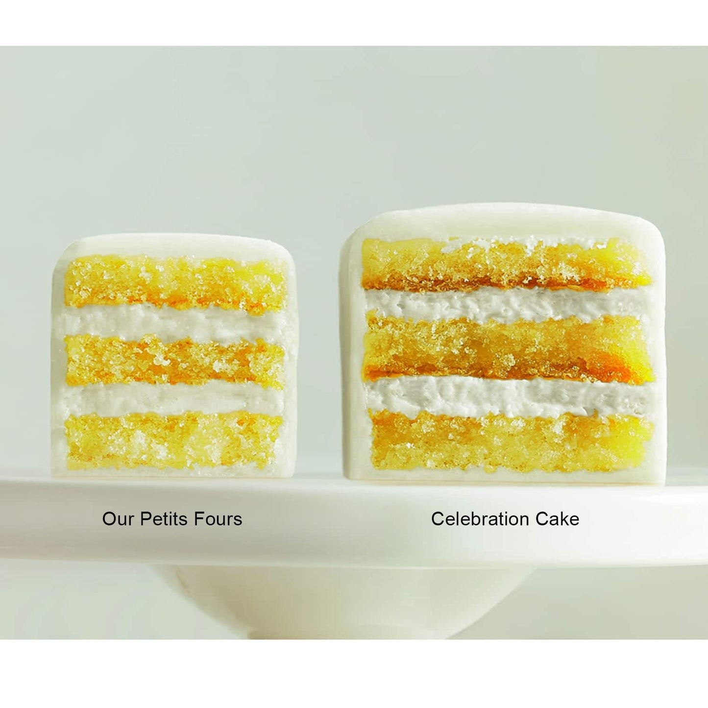 The Swiss Colony 12-pc. Celebration Cake Sampler, Gourmet Petit Fours, 9.25 oz. Assorted Layer Cakes, Perfect for Special Occasions