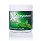 Xyloburst 100% Xylitol, Natural Chewing Gum 100 Count Jar Non Gmo, Vegan, Aspartame Free, Sugar Free (Spearmint, 1 Jar)