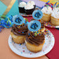 California State University San Marcos Secondary Logo Cupcake Picks Toppers Decoration Set Of 6