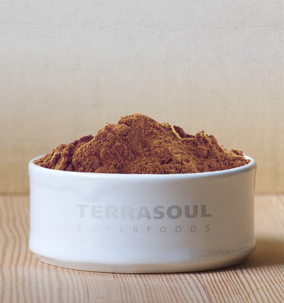 Terrasoul Superfoods Organic Carob Powder - High in Fiber, 1 Lb, Cocoa Powder Alternative