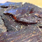 Oklahoma Jerky Company Old Fashioned Beef Jerky - All Natural, Gluten Free, No Preservatives - 2 oz (Pack of 3)