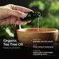 Gya Labs Australian Organic Tea Tree Oil For Skin - 100% Natural Tea Tree Oil For Hair - Tea Tree Oil For Face - Tea Tree Essent