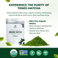 Tenzo Matcha Green Tea Powder - USDA Organic Ceremonial Grade - Perfect for Lattes - 1.06 Ounce