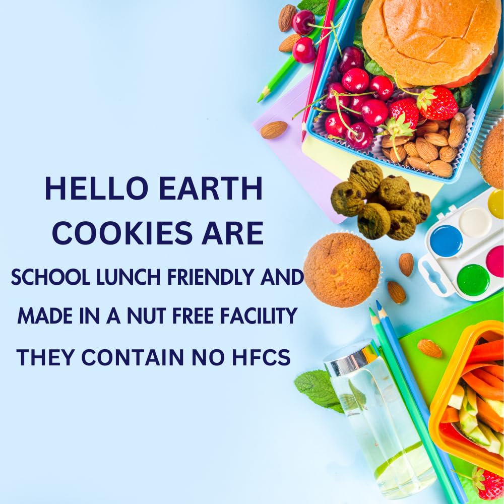 Hello Earth Sweet Bakes Chocolate Chip Cookies Low Sodium And Diabetic Friendly, 1.1 Ounce (Pack Of 20)