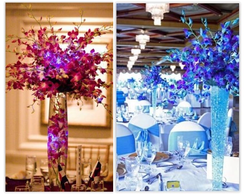 Sunne Tropical Orchidclub Usa Fresh Cut Flowers Dendrobium Orchids (10 Stems Blue & Purple)