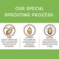 Lark Ellen Farm Sprouted Salted Cashews - Non Gmo, Healthy Keto Snacks, Paleo, Gluten Free, Vegan, Certified Organic Nut, Sugar
