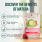 Jade Leaf Matcha Organic Premium Ceremonial Grade Matcha Green Tea Powder, 5.3 Ounce, Ideal for Lattes and Culinary Use
