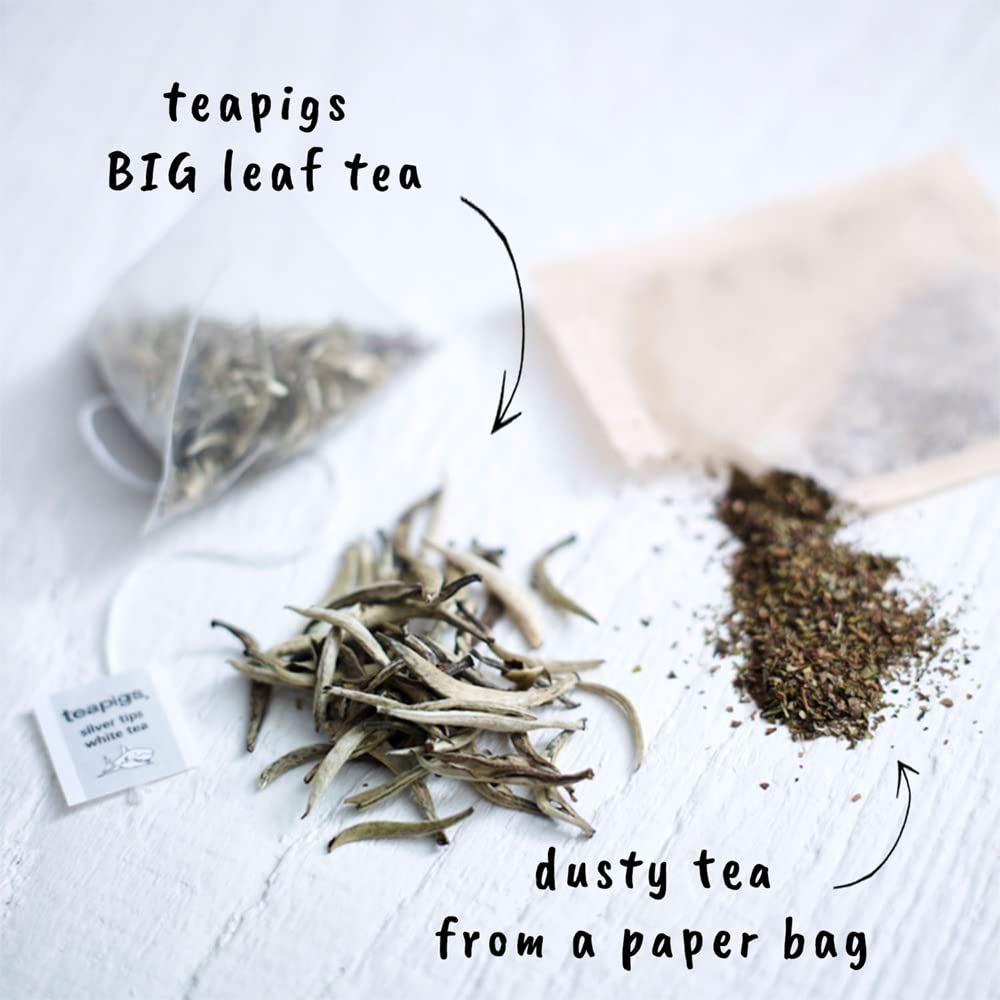 Teapigs Silver Tips White Tea 15 Temples