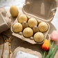 Easter Egg Candle Box – Handmade Soy Wax Egg Candles, Easter Decor Gift Set, Spring Candle Gift