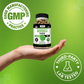 Moringa