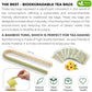 Moringa Leaf Tea Bags, 100% Natural & Pure from Moringa Leaves. Loose Leaf Moringa Herbal Tea. Moringa Leaf Tea. No Sugar, No Caffeine, No Gluten, Vegan