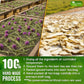 Premium Stomach & Liver Herbal Tea | Milk Thistle Seed, Ginger, Fennel, Peppermint & Licorice