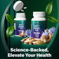 Probiotic Capsules - 900 Million AFU of Akkermansia, Clostridium, Bifidobacterium. Added Prebiotic Chicory and Green Tea Exact.
