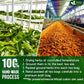 Premium Soursop Turmeric Tea Bags | Blend of Soursop Leaves, and Turmeric Root