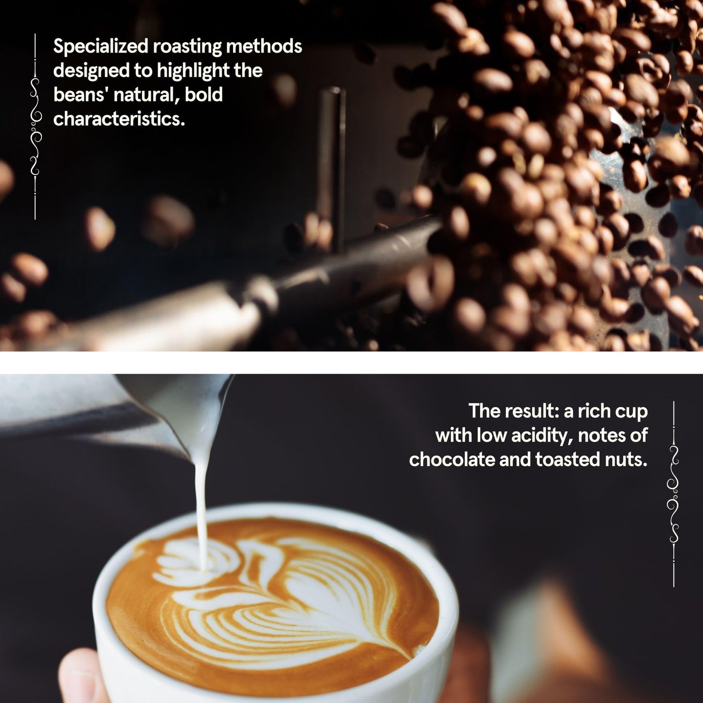 BROOKLYN COFFEE Whole Bean, Brazilian Santos Medium Roast (5lb) American, Breakfast, Classic - Fresh Bulk Coffee Beans Roasted W