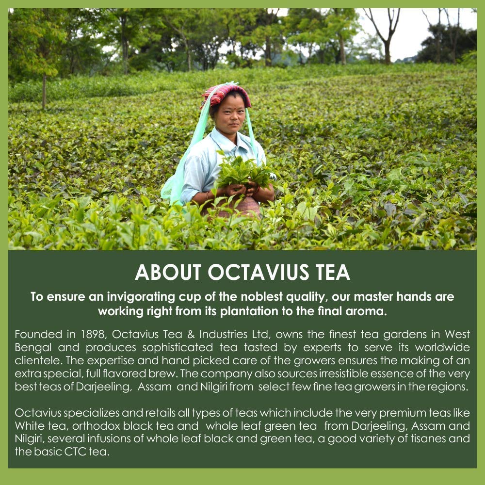 Octavius | Cardamom Premix Tea - 50 Pouches | Elaichi Chai | Readymade Tea Mix | Ready Tea | Premix Tea Powder | Instant Tea | T