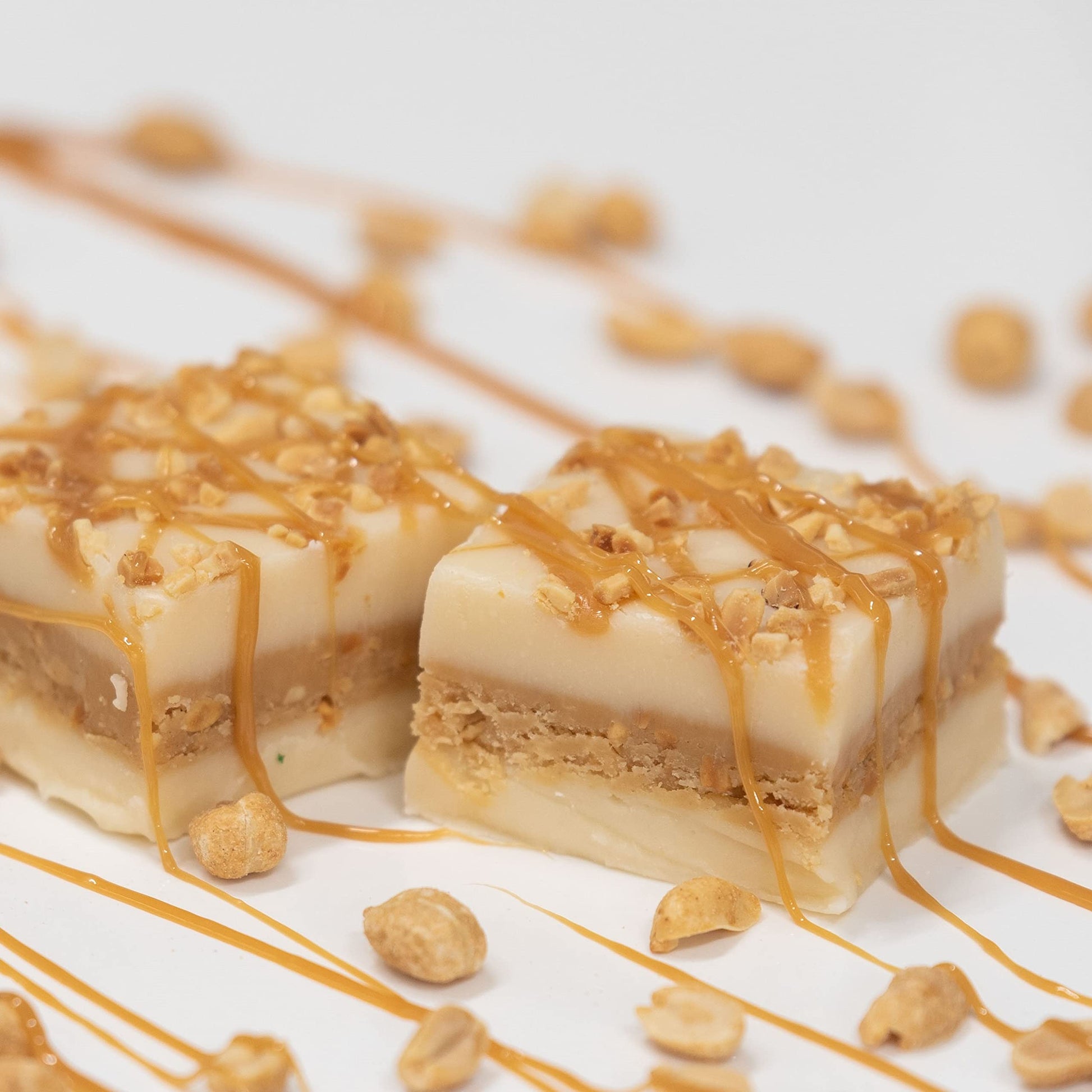 Valley Fudge Caramel Salted Peanut Gourmet Fudge Half Pound Package