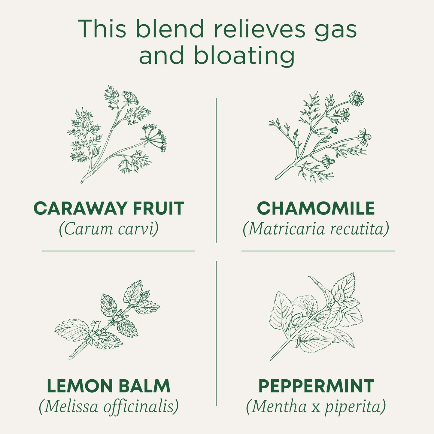 Traditional Medicinals Organic Gas Relief Tea, Chamomile Mint, 16 Bags, Pack of 1, Natural