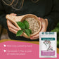 Zhivana Organics Echinacea Tea - Organic Herbal Infusion, Caffeine-Free, 40 Tea Bags