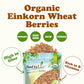 Food To Live - Organic Einkorn Wheat Berries, 1.5 Pounds - Non-Gmo, Good Source Of Protein, Fiber, And Vitamins. Low-Glycemic In