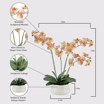 Cg Hunter Faux Orange Orchid Plant, Premium Artificial Indoor Flower Display Stands 23   , Beautiful Sculptural Blooms That Last
