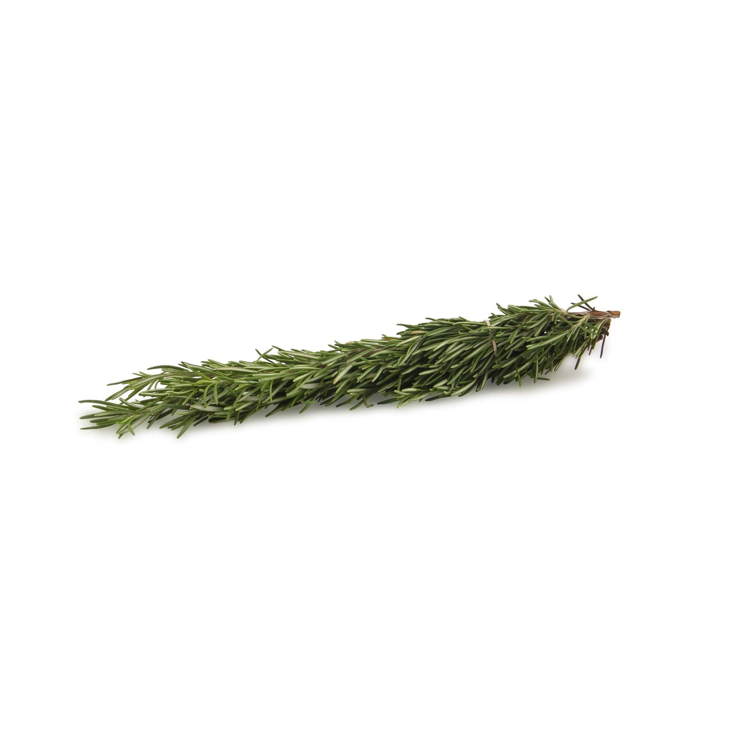 Produce, Organic Rosemary Clamshell, 0.75 Ounce