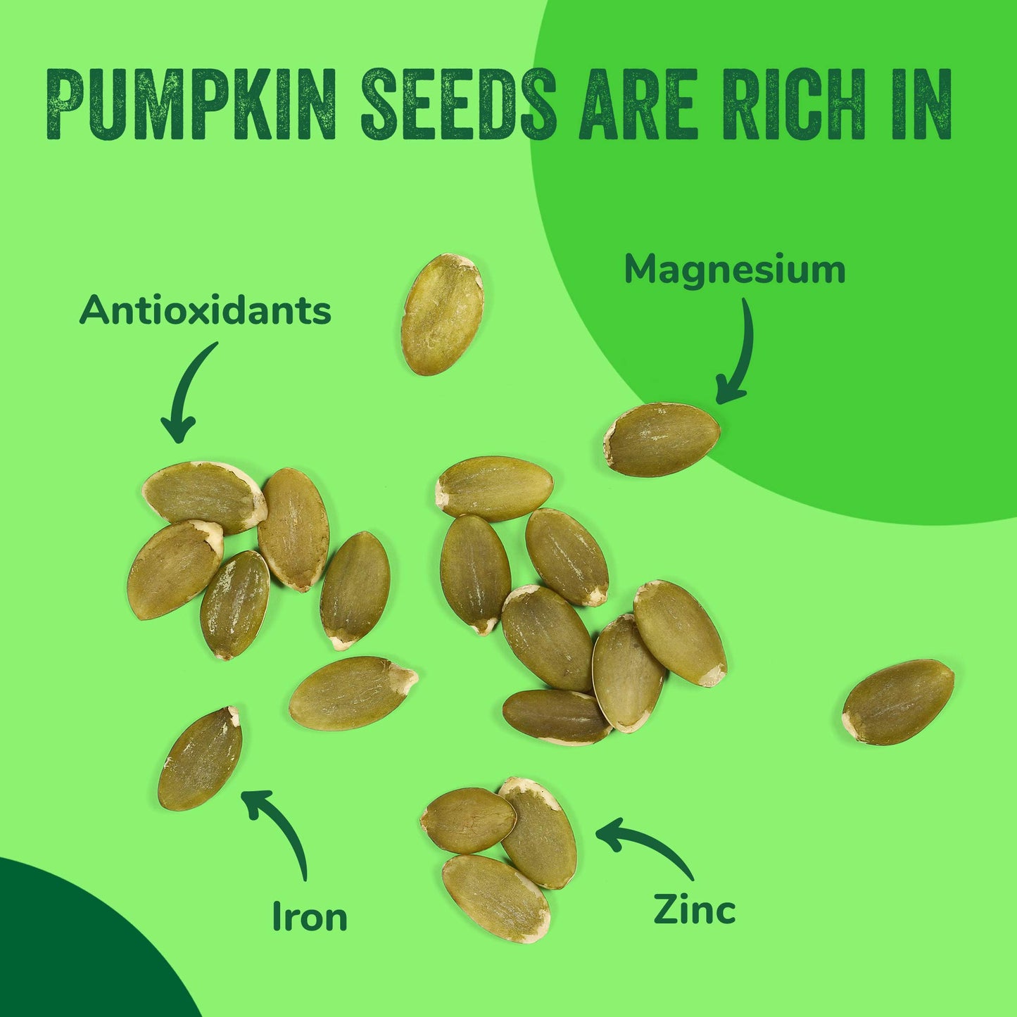 Raw Pumpkin Seeds (Papitas) 32 Oz (2 Lb) | No Preservatives | Batch Tested Gluten & Peanut Free | Non-Gmo | No Ppo | 100% Natura