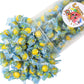 Grandys Candys LemonHeads Sour Candy – Individually Wrapped, Tart & Sweet – 3 Pound
