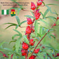 Kovafood Dried Red Hibiscus Flowers, Sorrel Leaves, Zobo Leaves I Organic I Non-Gmo I Washed And Sifted - 16Oz (1 Lb)