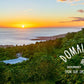 DOMAIN KONA 100% Kona Coffee Whole Bean Medium Roast 16 Ounce Farm Fresh