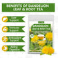 ULTHMOK Premium Dandelion Leaf & Root Tea, Caffeine Free, 50 Tea Bags, 3.53 Oz, Supports Digestion & Immune System