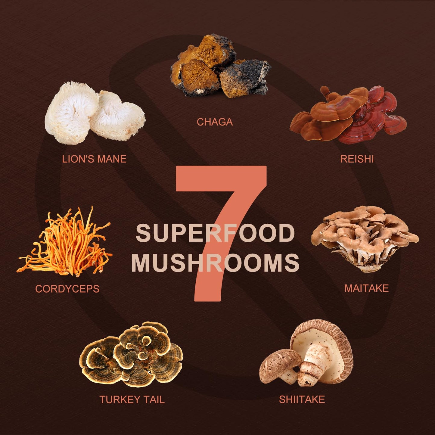 Orgfun Premium Mushroom Coffee With 7 Superfood Mushrooms, Great Tasting Arabica Instant Coffee, Includes Chaga, Lion'S Mane, Re