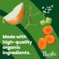 Pacific Foods Organic Chicken Bone Broth, Sea Salt, 32 Fl Oz (Pack of 12), Natural, Model 5612
