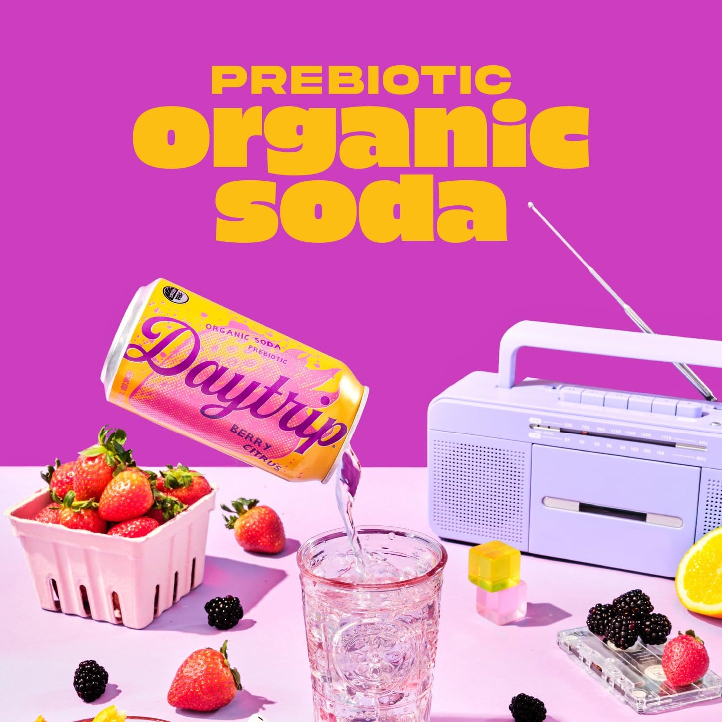 Daytrip Organic Sparkling Prebiotic Soda - Low Sugar, Low Calorie, 12-Pack Fruit Variety