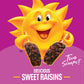 Kelloggs Raisin Bran Breakfast Cereal  High Fiber  28g Whole Grain  Family Size  22.1 oz