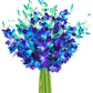 KaBloom Flowers -Valentines Day Collection - 20 Blue Orchid without vase  Gift for Birthday  Sympathy  Anniversary  Get Well  Thank You  Valentine  Mothers Day Fresh Flowers