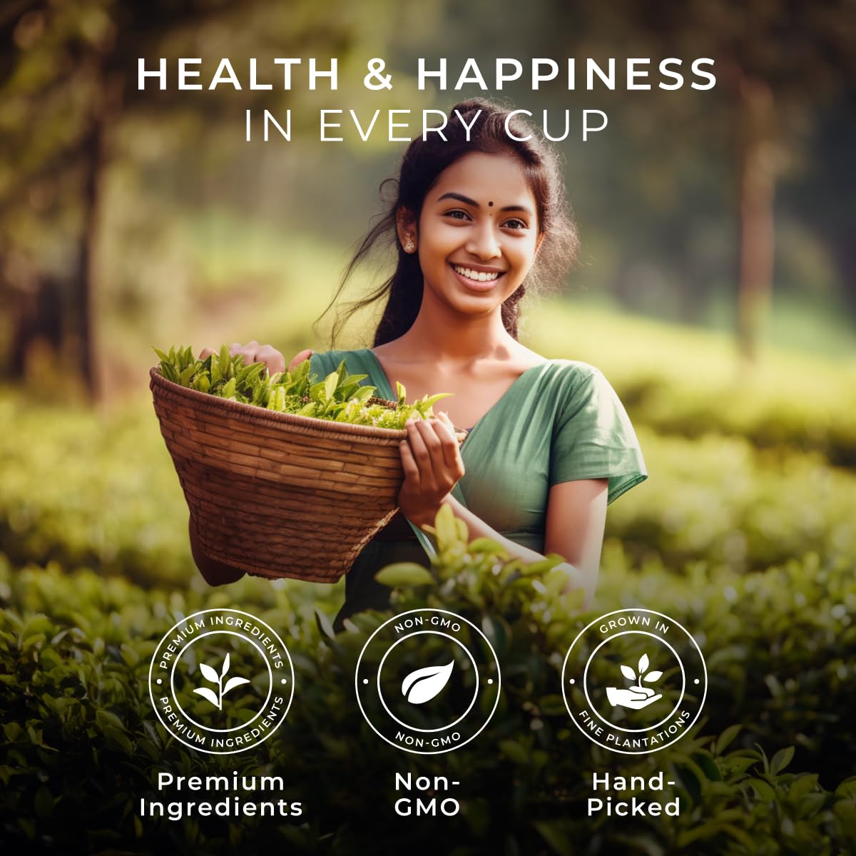 Gya Tea Co Green Tea Gift Set (16 ct) - Assorted Tea Pod Variety Pack with High Mountain, Jasmine, Oolong & Green 4 Flavors for